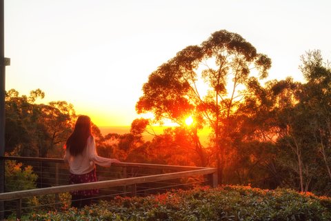 SPICERS SANGOMA RETREAT - Photo 33