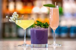  - Courtyard by Marriott Hotel Downtown Fort Lauderdale