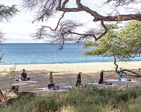 FOUR SEASONS RESORT LANAI - Photo 21