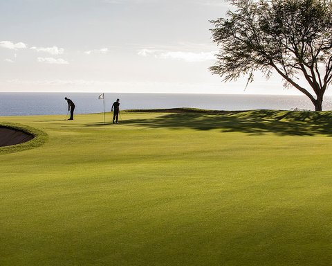 FOUR SEASONS RESORT LANAI - Photo 23