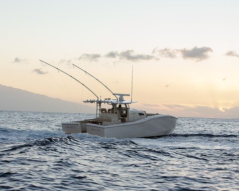 FOUR SEASONS RESORT LANAI - Photo 25