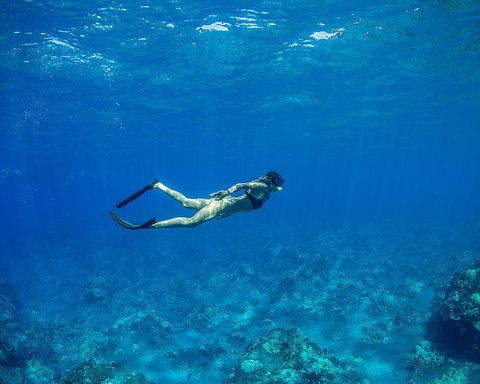 FOUR SEASONS RESORT LANAI - Photo 32