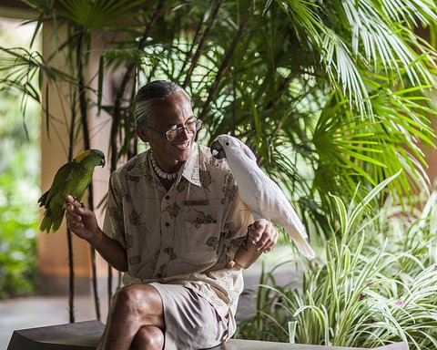 FOUR SEASONS RESORT LANAI - Photo 41