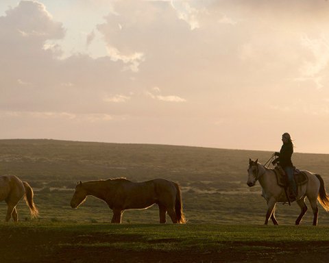 FOUR SEASONS RESORT LANAI - Photo 47