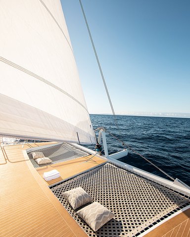 FOUR SEASONS RESORT LANAI - Photo 49