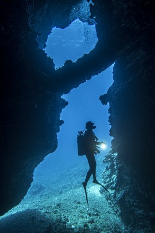 FOUR SEASONS RESORT LANAI - Photo 61