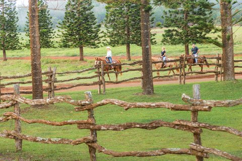 FOUR SEASONS RESORT LANAI - Photo 63