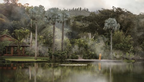 SENSEI LANAI A FOUR SEASONS RESORT - Photo 14