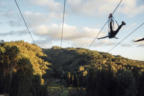 SENSEI LANAI A FOUR SEASONS RESORT - Photo 24