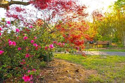  - Holiday Inn Express & Suites Nacogdoches