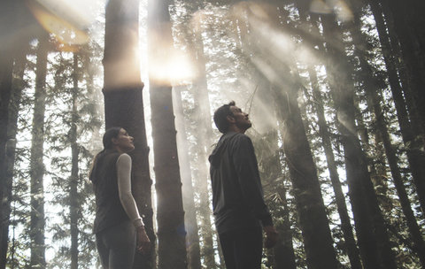 SENSEI LANAI A FOUR SEASONS RESORT - Photo 40