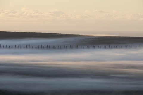 SENSEI LANAI A FOUR SEASONS RESORT - Photo 37