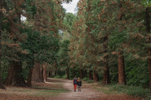 THE LANGLEY BUCKINGHAMSHIRE - Photo 97