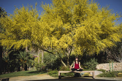  - Castle Hot Springs Resort