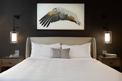  - Elliot Park Hotel Downtown Minneapolis