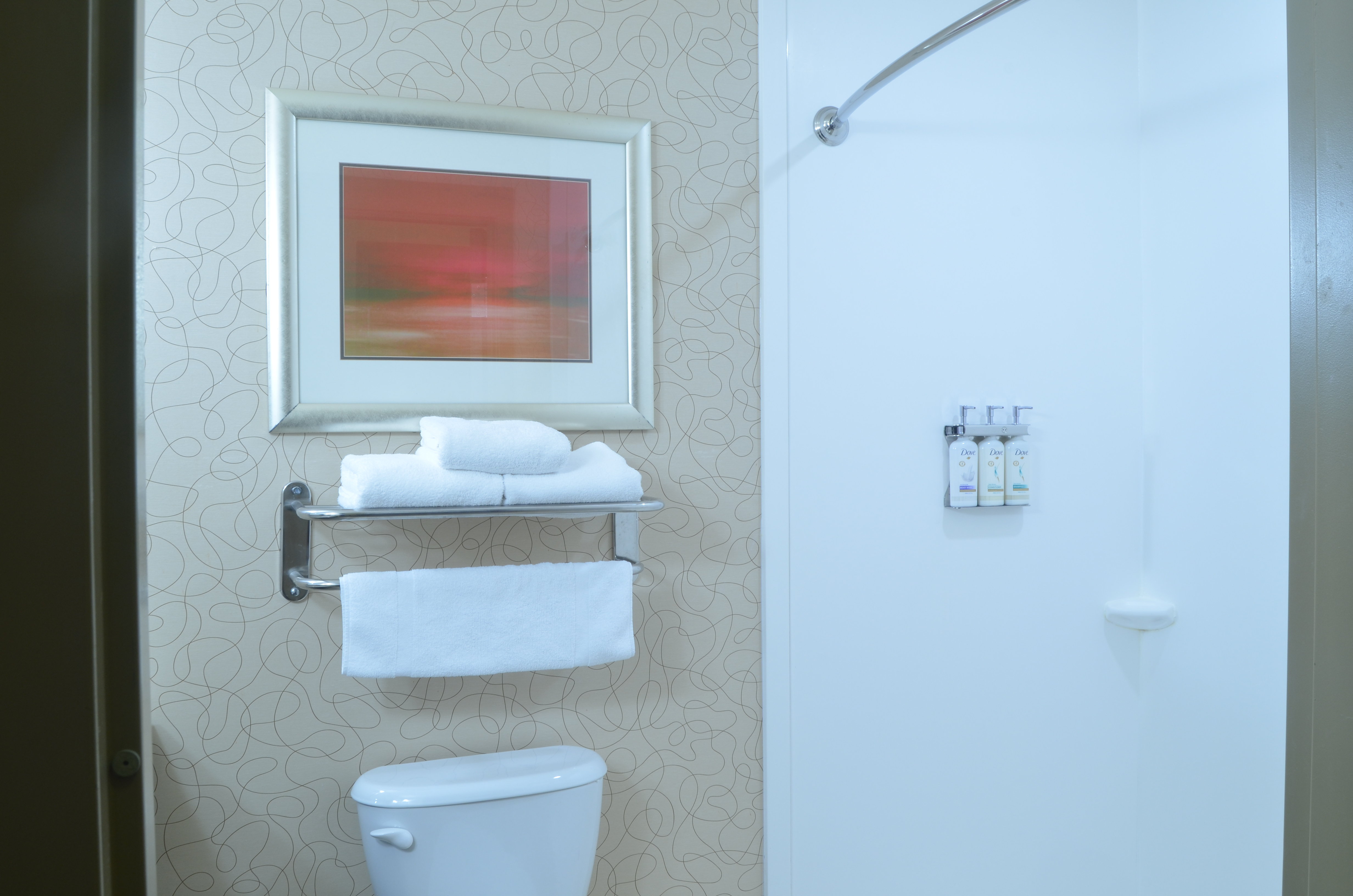 Guest Bathroom with Dove Amenities