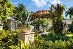  - St Regis Bahia Beach Resort Rio Grande