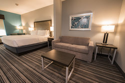  - Holiday Inn Express & Suites Hobby Airport Houston - I-45, Exit 36