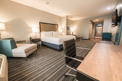 - Holiday Inn Express & Suites Hobby Airport Houston - I-45, Exit 36