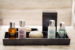  - Art Ovation Hotel Downtown Sarasota