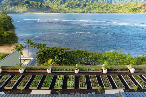1 HOTEL HANALEI BAY - Photo 31