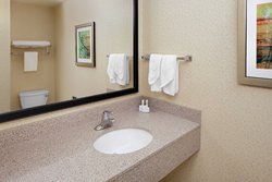  - Fairfield Inn & Suites by Marriott Detroit Airport Romulus
