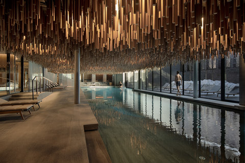 SIX SENSES CRANS MONTANA - Photo 36