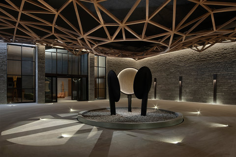 SIX SENSES CRANS MONTANA - Photo 18