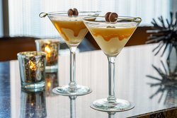  - SpringHill Suites by Marriott Downtown Chicago