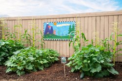  - Residence Inn by Marriott Boulder