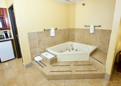  - Holiday Inn Express & Suites Fenton