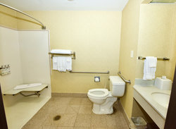  - Holiday Inn Express & Suites Fenton