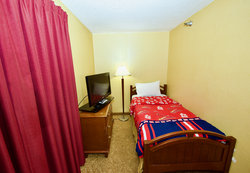  - Holiday Inn Express & Suites Fenton