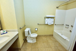  - Holiday Inn Express & Suites Fenton