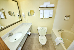  - Holiday Inn Express & Suites Fenton