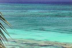  - Marriott Beach Resort Grand Cayman