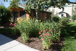  - Flying Saddle Resort Alpine