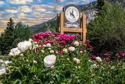  - Flying Saddle Resort Alpine