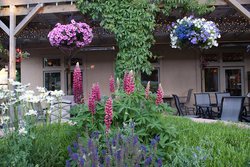  - Flying Saddle Resort Alpine