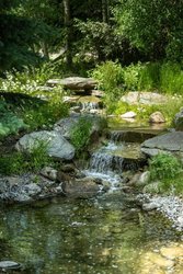  - Flying Saddle Resort Alpine