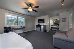  - Flying Saddle Resort Alpine