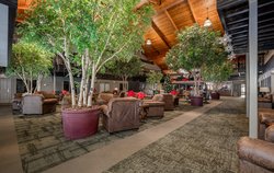  - C'mon Inn Park Rapids