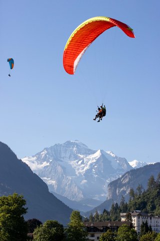 VICTORIA JUNGFRAU GRAND HOTEL & SPA - Photo 50