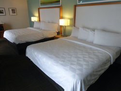  - Red Roof Plus+ Inn Busch Gardens North Tampa