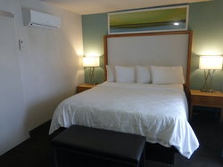  - Red Roof Plus+ Inn Busch Gardens North Tampa