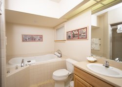  - Solitude Village Condos at Okemo Ludlow