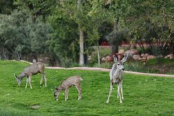  - Enchantment Resort Sedona