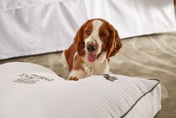  - Westin Hotel Calgary