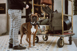  - Hotel Indigo Downtown Nashville