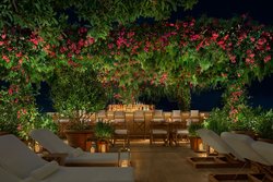  - Tampa EDITION Hotel Water Street